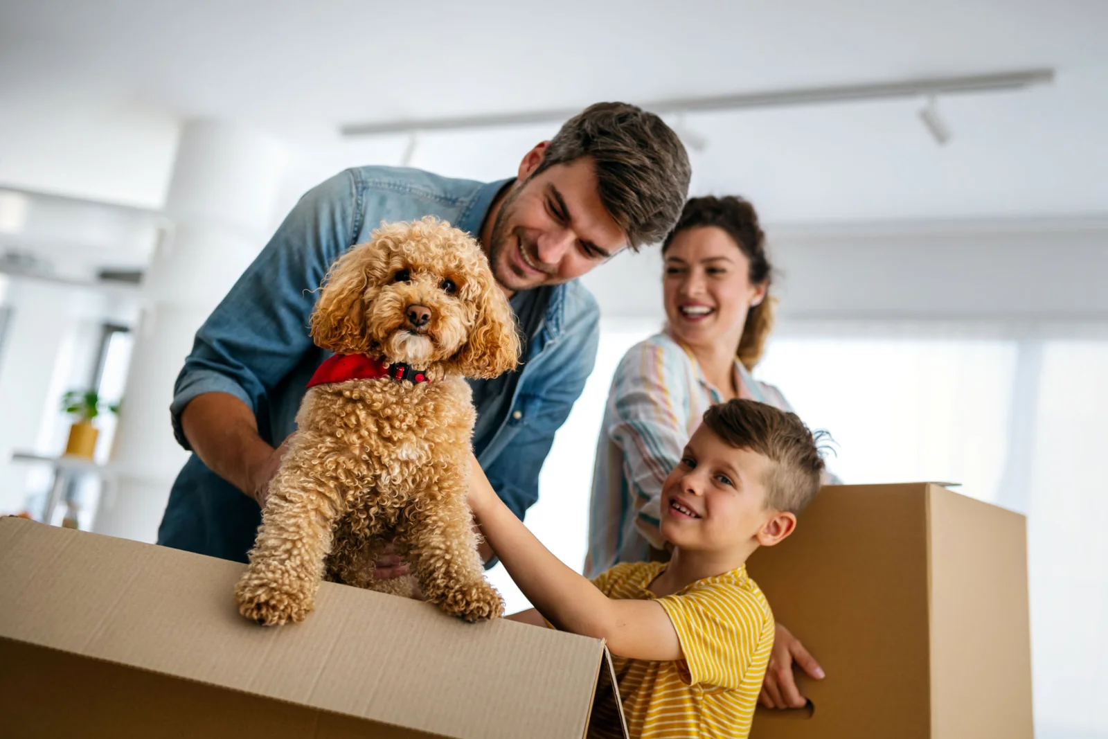 Conventional home loan options with Arbor Financial Group